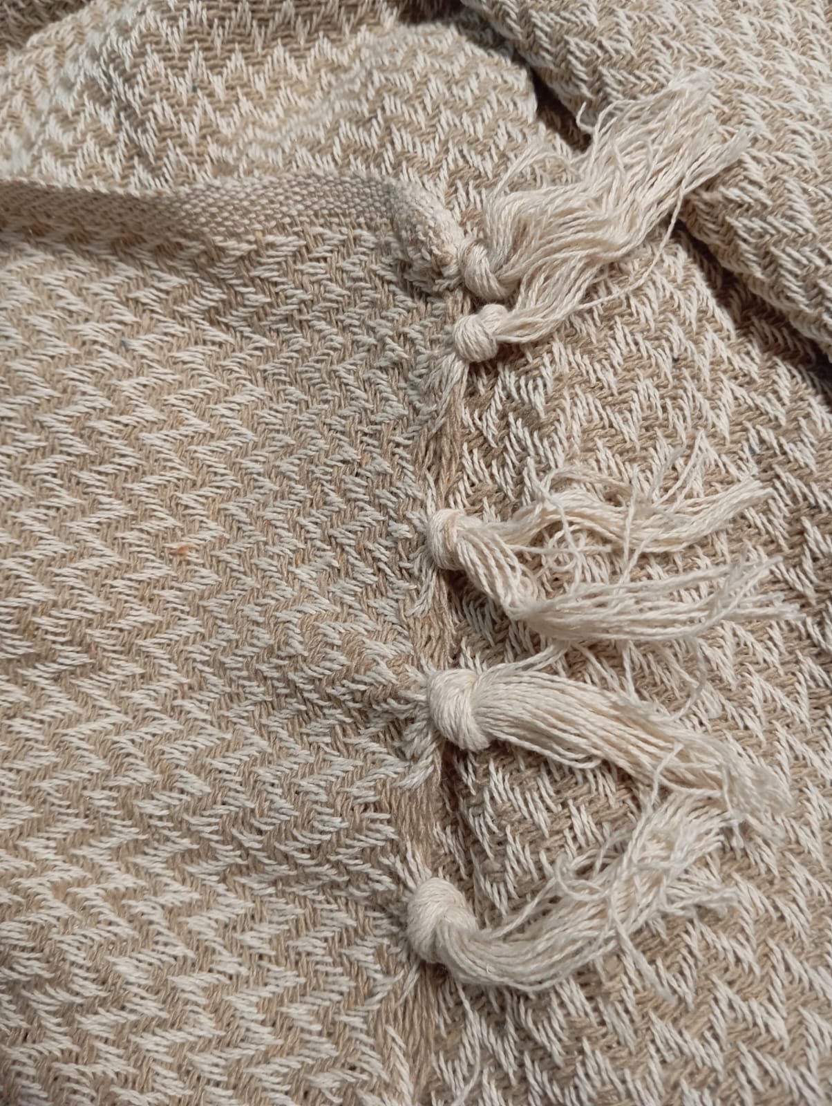 רבוזו עם פרנזים – זיגזג בצבע חול